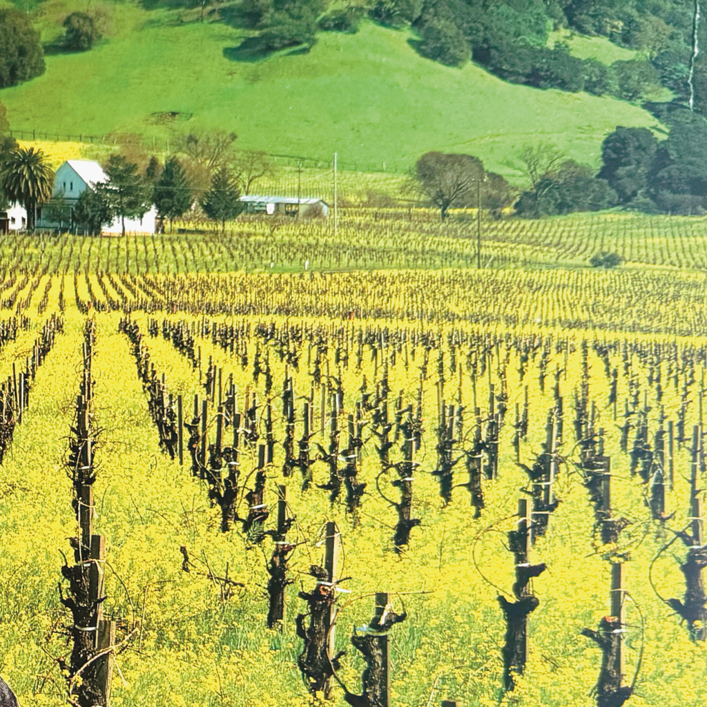 hope ; collage art print