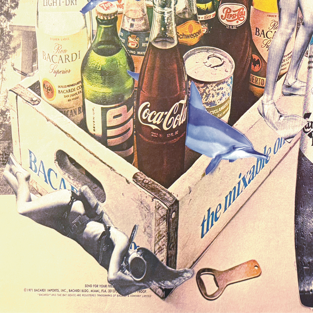 adult swim ; collage art print