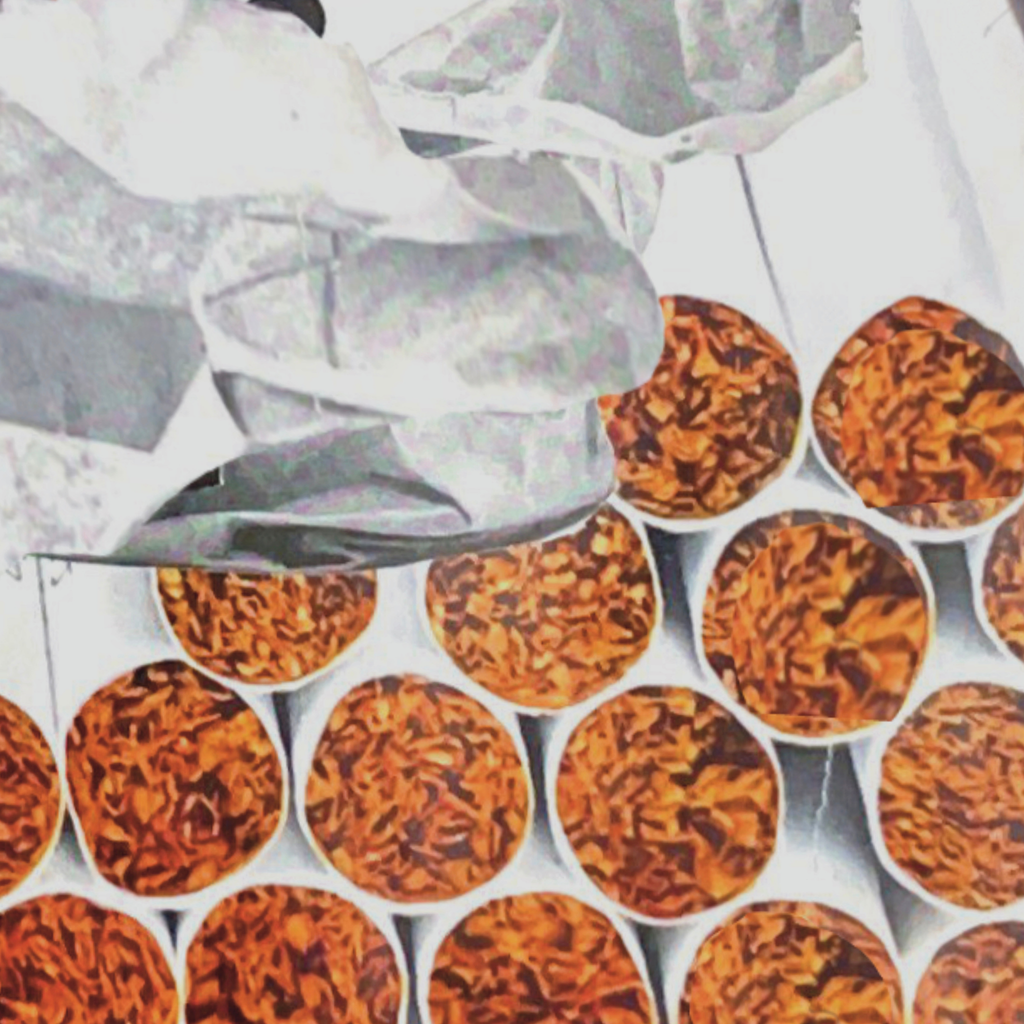 firecracker ; collage art print