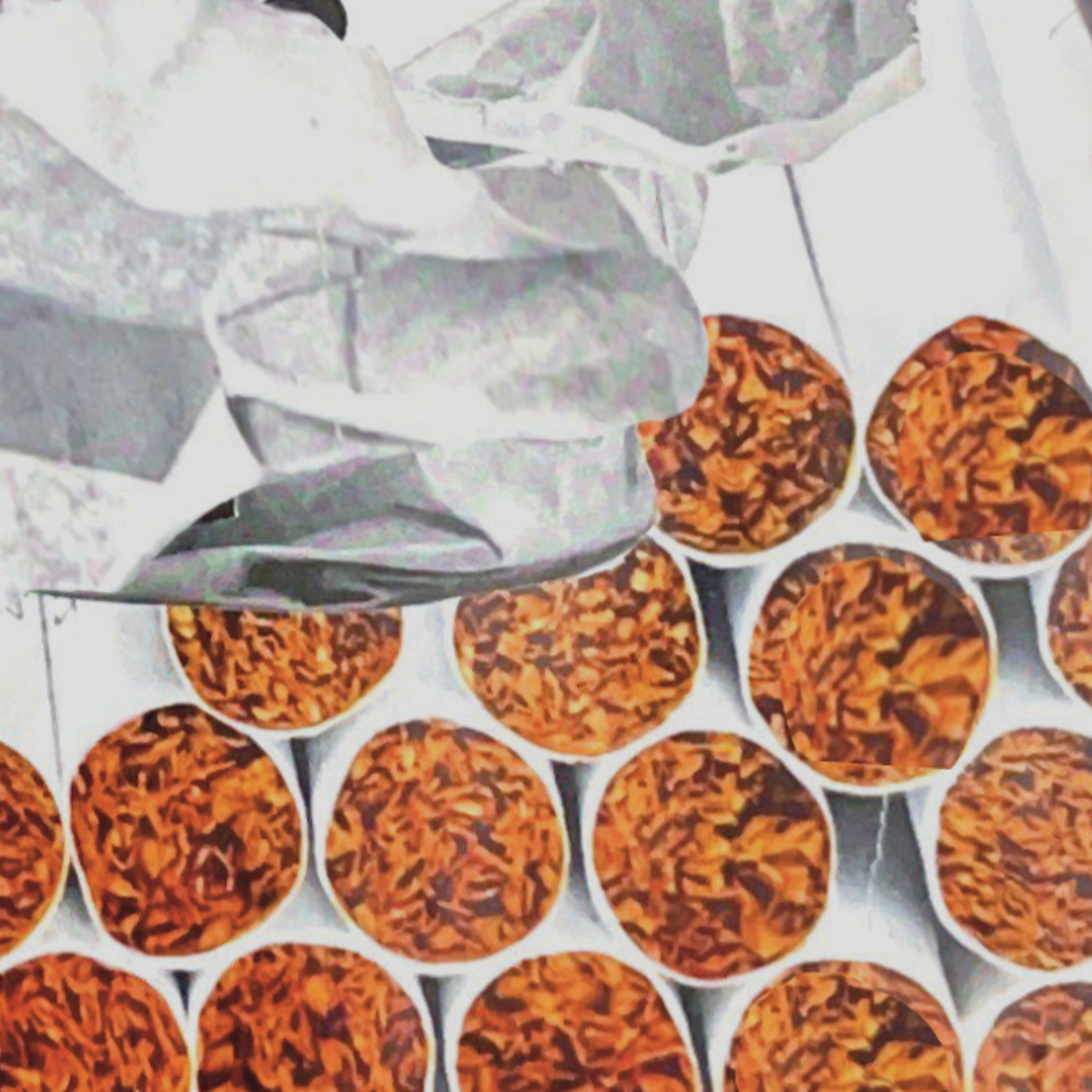 firecracker ; collage art print