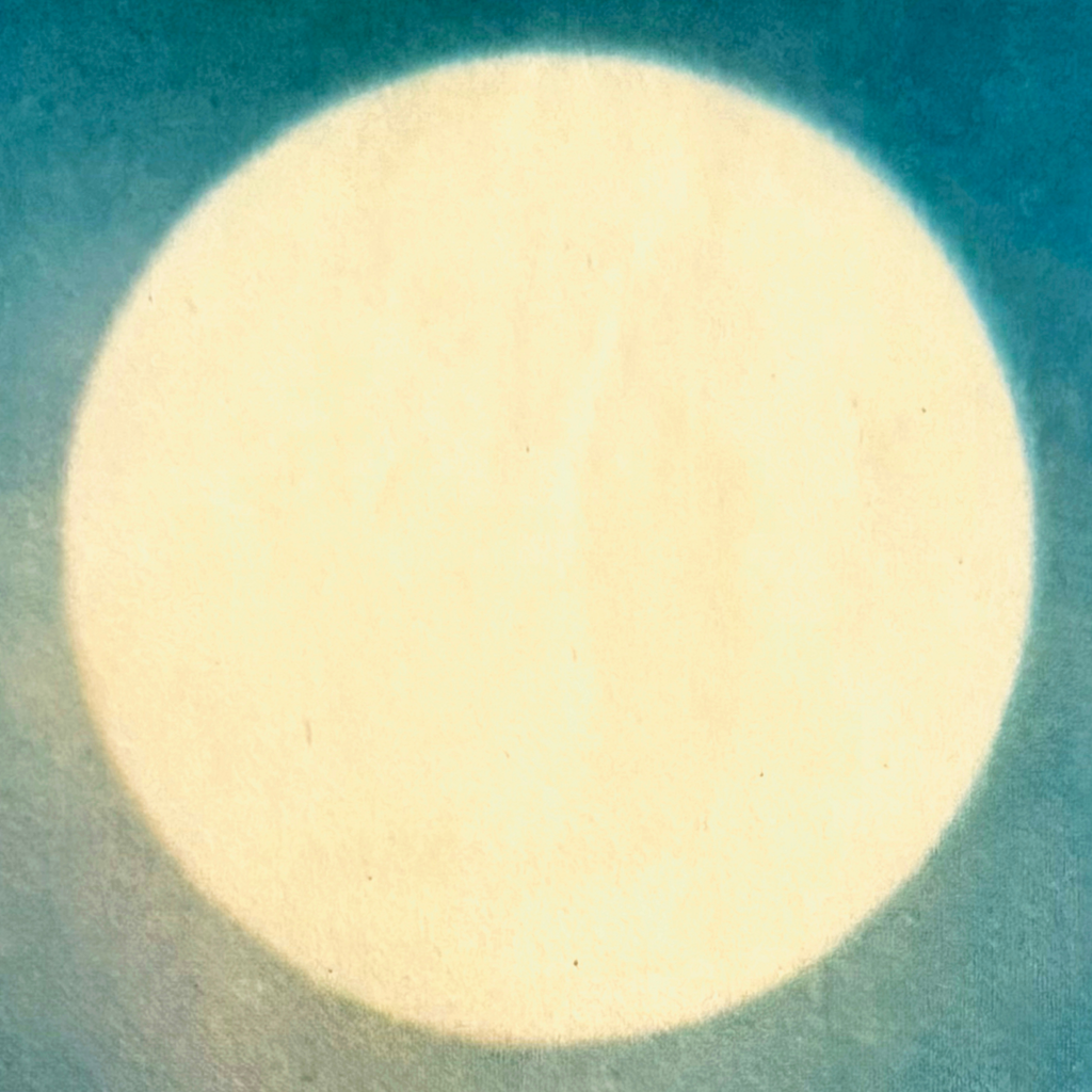 frozen dinner ; collage art print