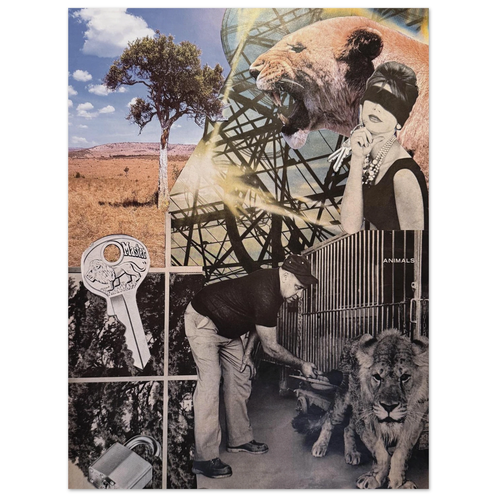 a71d905e-a7cd-496a-b3ae-3479257ec748