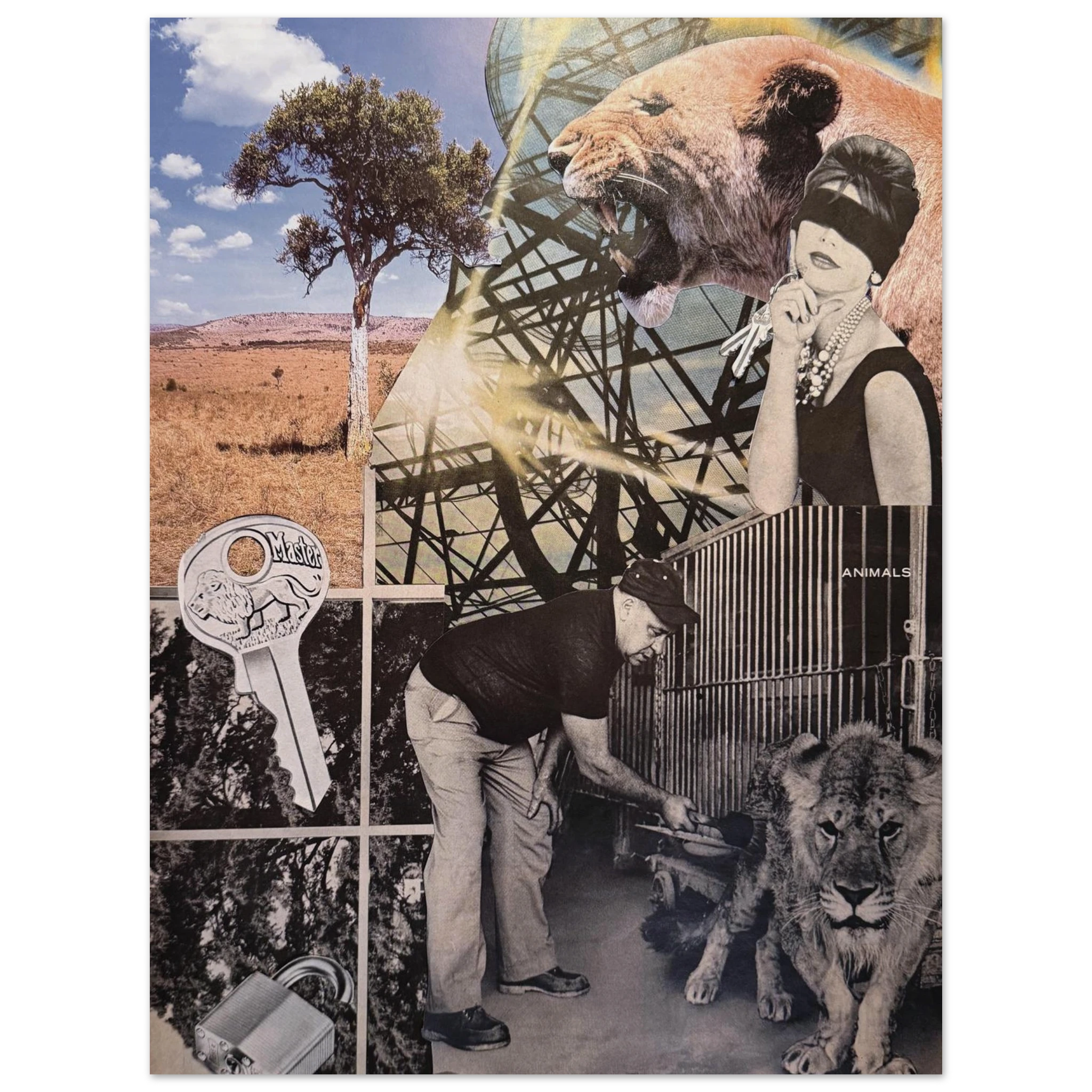 a71d905e-a7cd-496a-b3ae-3479257ec748