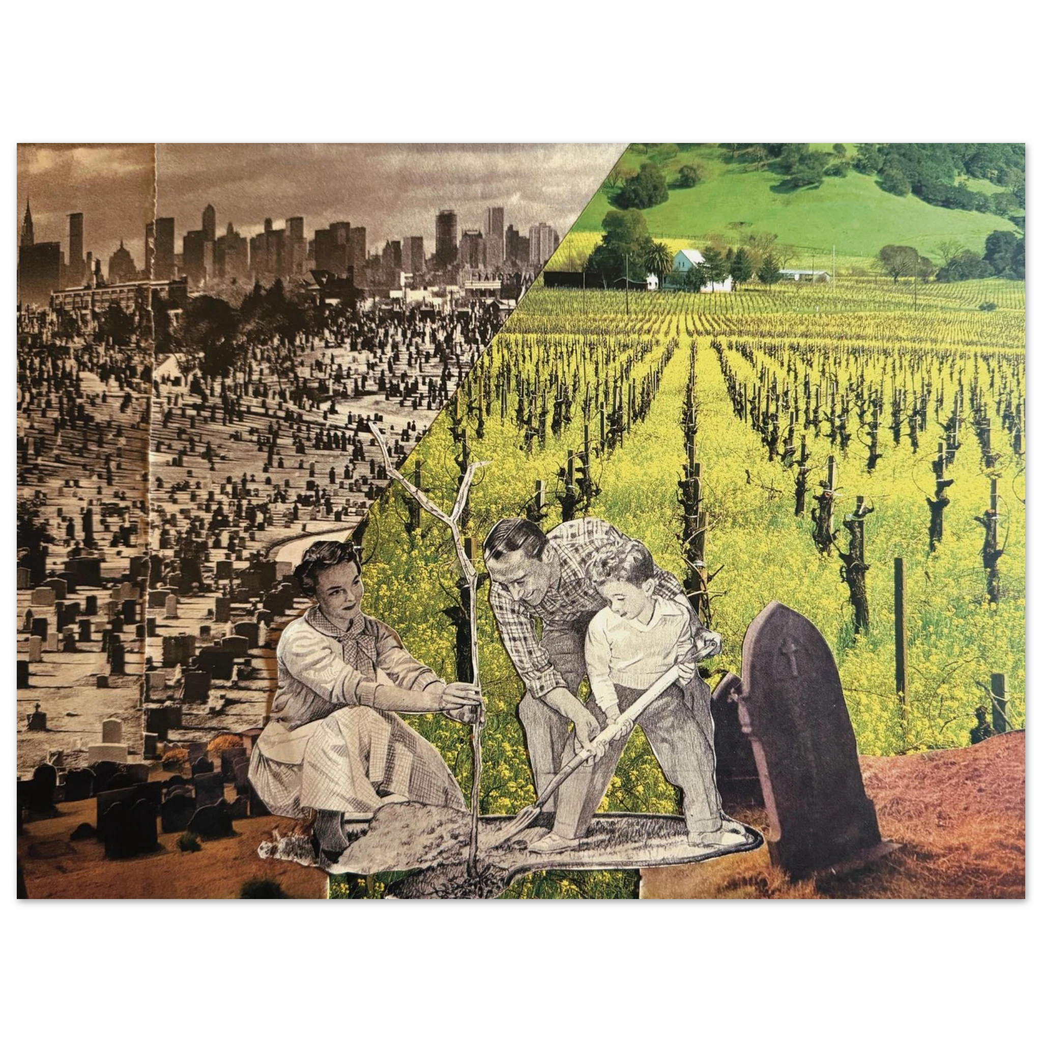 b4b7179d-1ad9-4b20-b82d-8e3acd0298a7